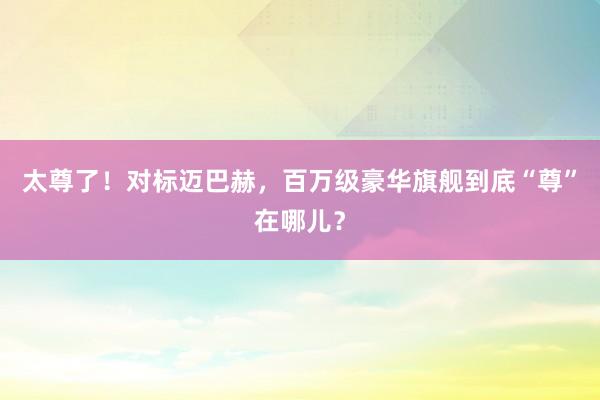 太尊了！对标迈巴赫，百万级豪华旗舰到底“尊”在哪儿？