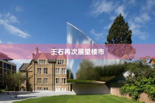 王石再次展望楼市