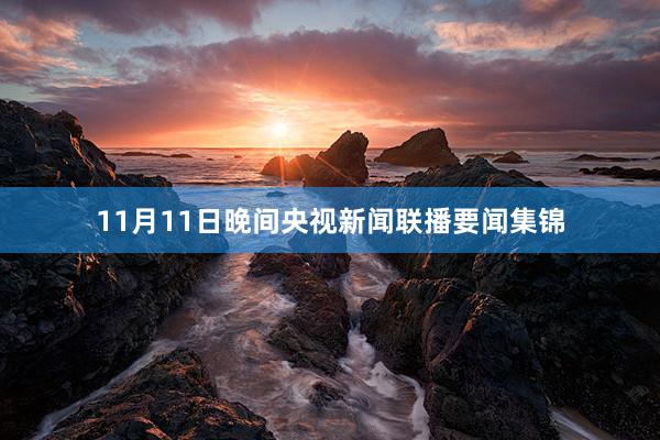 11月11日晚间央视新闻联播要闻集锦
