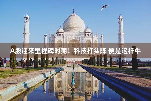 A股迎来里程碑时期！科技打头阵 便是这样牛