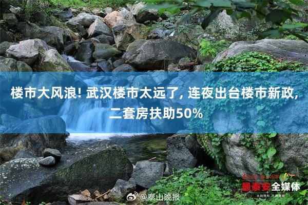 楼市大风浪! 武汉楼市太远了, 连夜出台楼市新政, 二套房扶助50%