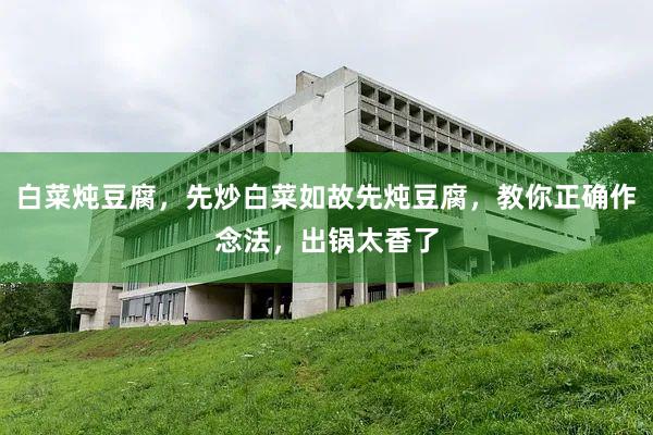 白菜炖豆腐，先炒白菜如故先炖豆腐，教你正确作念法，出锅太香了