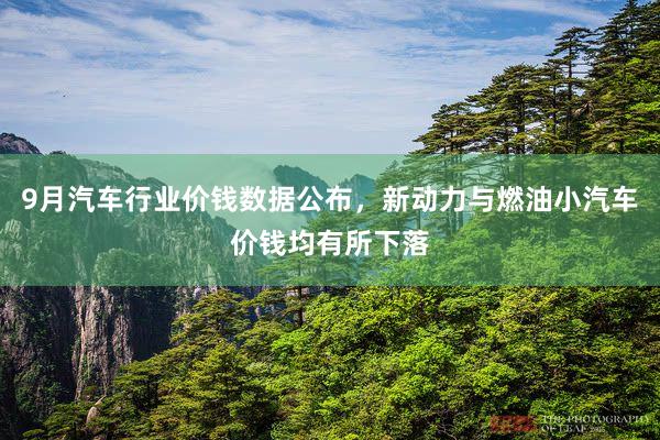 9月汽车行业价钱数据公布，新动力与燃油小汽车价钱均有所下落