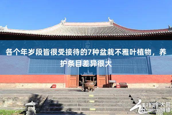 各个年岁段皆很受接待的7种盆栽不雅叶植物，养护条目差异很大